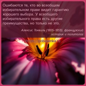Ошибаются те, кто во всеобщем избирательном праве видит гарантию хорошего...