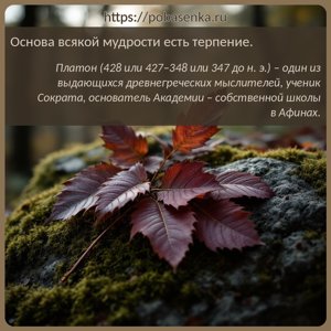 Основа всякой мудрости есть терпение.