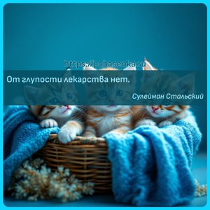 От глупости лекарства нет.
