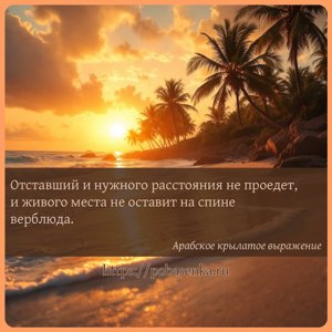 Отставший и нужного расстояния не проедет, и живого места не оставит на...