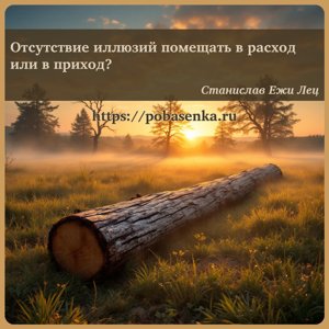 Отсутствие иллюзий помещать в расход или в приход?