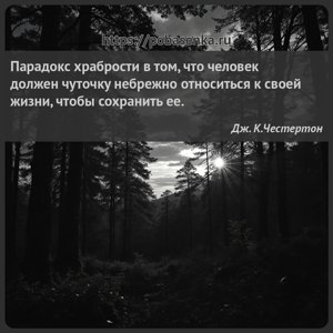 Парадокс храбрости в том, что человек должен чуточку небрежно относиться к...