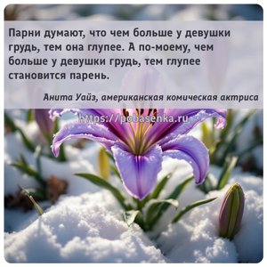 Парни думают, что чем больше у девушки грудь, тем она глупее. А по моему,...