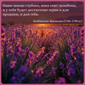 Паши землю глубоко, пока спит лежебока, и у тебя будет достаточно зерна и...