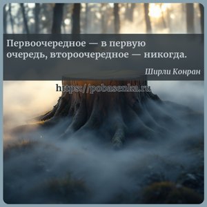 Первоочередное в первую очередь, второочередное никогда.