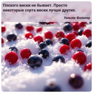 Плохого виски не бывает. Просто некоторые сорта виски лучше других.
