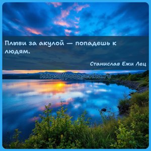 Плыви за акулой попадешь к людям.