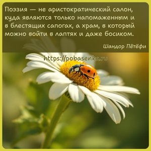 Поэзия не аристократический салон, куда являются только напомаженным и в...