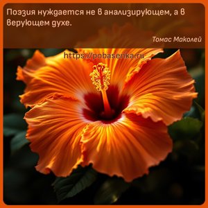 Поэзия нуждается не в анализирующем, а в верующем духе.