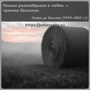 Поиски разнообразия в любви признак бессилия.