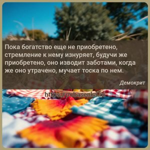 Пока богатство еще не приобретено, стремление к нему изнуряет, будучи же...