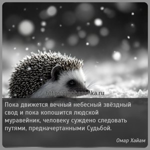 Пока движется вечный небесный звёздный свод и пока копошится людской...