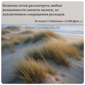 Политик готов рассмотреть любые возможности снизить налоги, за исключением...