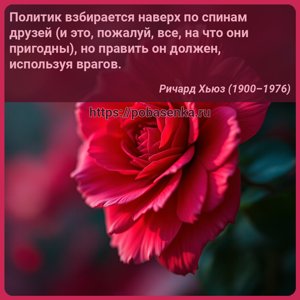 Политик взбирается наверх по спинам друзей и это, пожалуй, все, на что они...