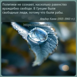 Политики не сознают, насколько равенство враждебно свободе. В Греции были...