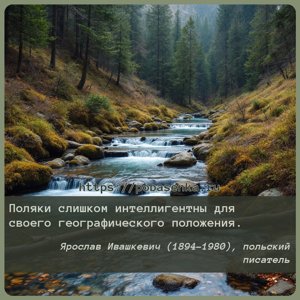 Поляки слишком интеллигентны для своего географического положения.