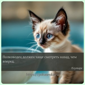 Полководец должен чаще смотреть назад, чем вперед.