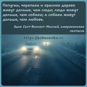 Попугаи, черепахи и красное дерево живут дольше, чем люди люди живут...