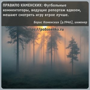 ПРАВИЛО КАМЕНСКИХ Футбольные комментаторы, ведущие репортаж вдвоем, мешают...