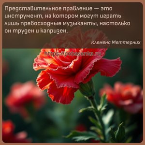 Представительное правление это инструмент, на котором могут играть лишь...