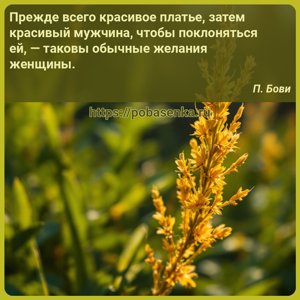 Прежде всего красивое платье, затем красивый мужчина, чтобы поклоняться...