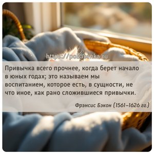 Привычка всего прочнее, когда берет начало в юных годах это называем мы...