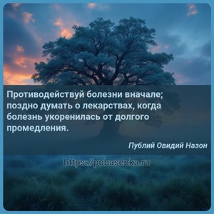 Противодействуй болезни вначале поздно думать о лекарствах, когда болезнь...