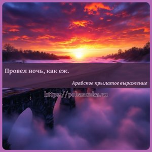 Провел ночь, как еж.