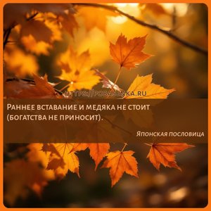 Раннее вставание и медяка не стоит богатства не приносит .