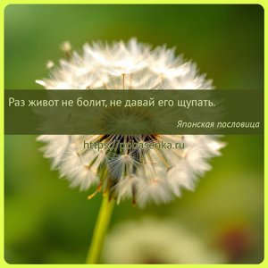 Раз живот не болит, не давай его щупать.