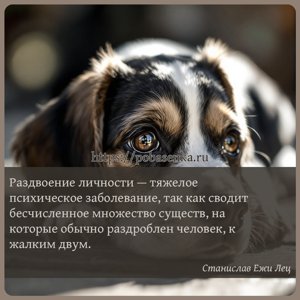 Раздвоение личности тяжелое психическое заболевание, так как сводит...