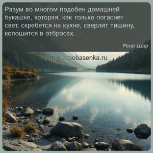 Разум во многом подобен домашней букашке, которая, как только погаснет...