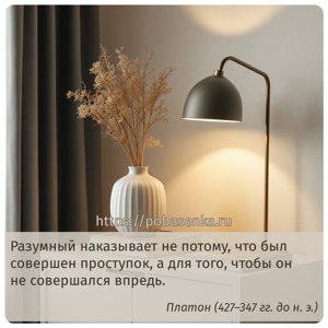 Разумный наказывает не потому, что был совершен проступок, а для того,...