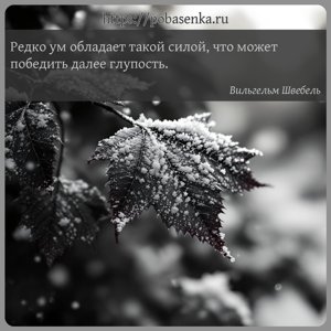 Редко ум обладает такой силой, что может победить далее глупость.