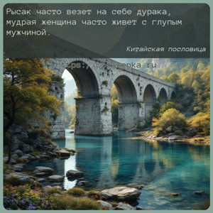 Рысак часто везет на себе дурака, мудрая женщина часто живет с глупым...