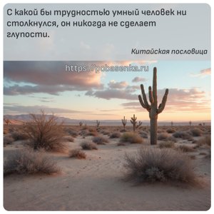 С какой бы трудностью умный человек ни столкнулся, он никогда не сделает...