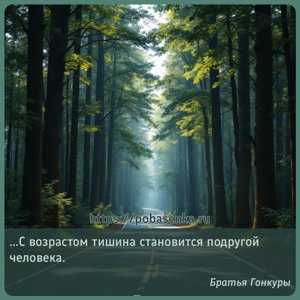 С возрастом тишина становится подругой человека.