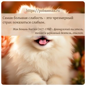 Самая большая слабость это чрезмерный страх показаться слабым.