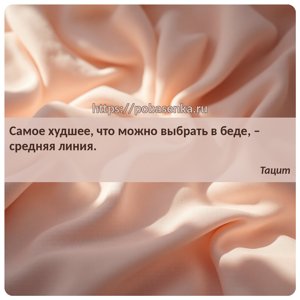 Самое худшее, что можно выбрать в беде, средняя линия.