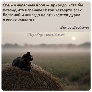 Самый чудесный врач природа, хотя бы потому, что излечивает три четверти...