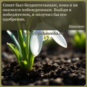 Сенат был бездеятельным, пока я не оказался побежденным. Выйди я...