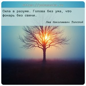 Сила в разуме. Голова без ума, что фонарь без свечи.