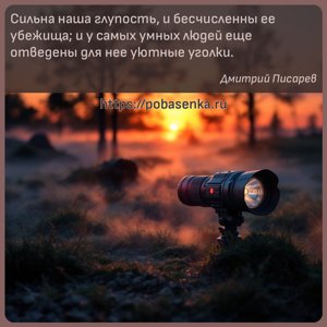 Сильна наша глупость, и бесчисленны ее убежища и у самых умных людей еще...
