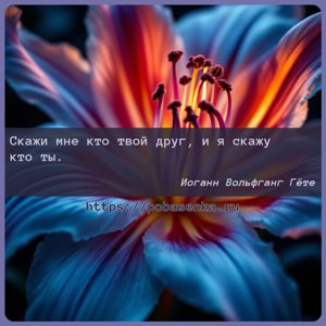 Скажи мне кто твой друг, и я скажу кто ты.