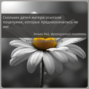 Скольких детей матери осыпали поцелуями, которые предназначались не им