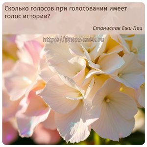 Сколько голосов при голосовании имеет голос истории?