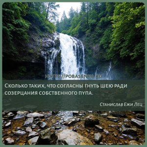 Сколько таких, что согласны гнуть шею ради созерцания собственного пупа.
