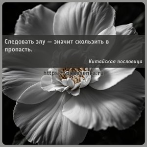 Следовать злу значит скользить в пропасть.