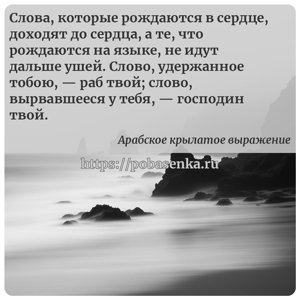 Слова, которые рождаются в сердце, доходят до сердца, а те, что рождаются...