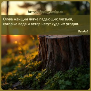 Слова женщин легче падающих листьев, которые вода и ветер несут куда им...